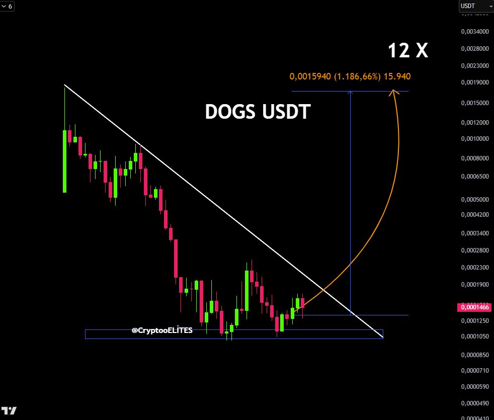 CryptooELITES's tweet image. DOGS LOADİNG 12 X

$DOGS #DOGS