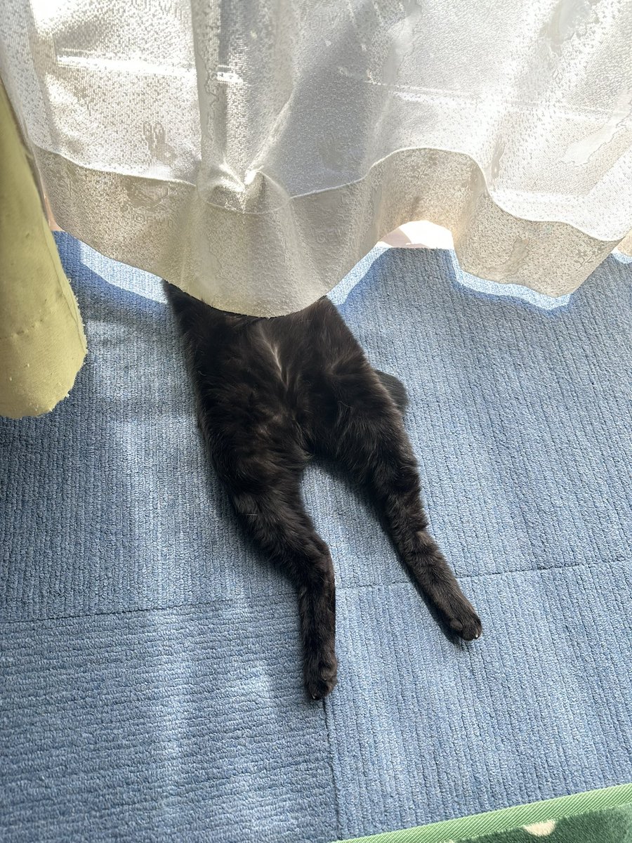 黒猫 (@kuroneko071975) / X