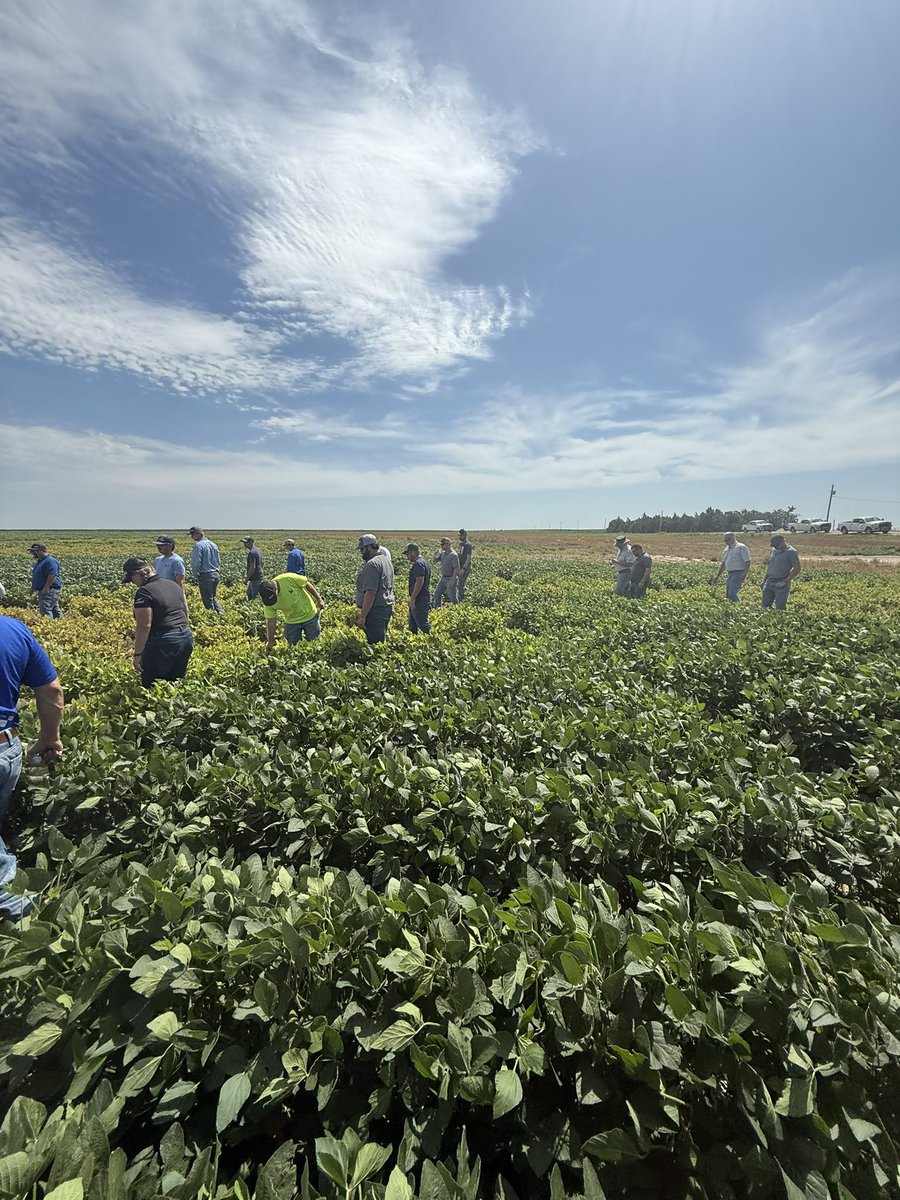 We recently had the opportunity to host a hands-on learning day for our new and newly positioned team members! It was a great chance to dive into key agronomic topics including:
✔️ Accurate crop staging
✔️ Disease and pest identification
✔️ Nutritional needs and deficiency signs