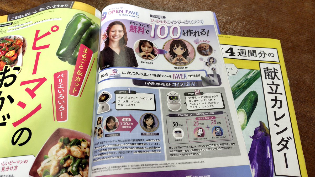 Linxline's tweet image. 保険屋さんから貰ったお献立誌を何となく見ていたら…
なんぞこれぇ…