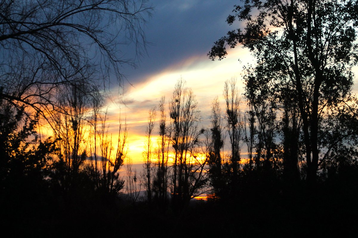 Manungo6's tweet image. Ahora la tarde por estos pagos.
Hora de soltar bueyes como decía el abuelo.
Buena tarde/ noche.
