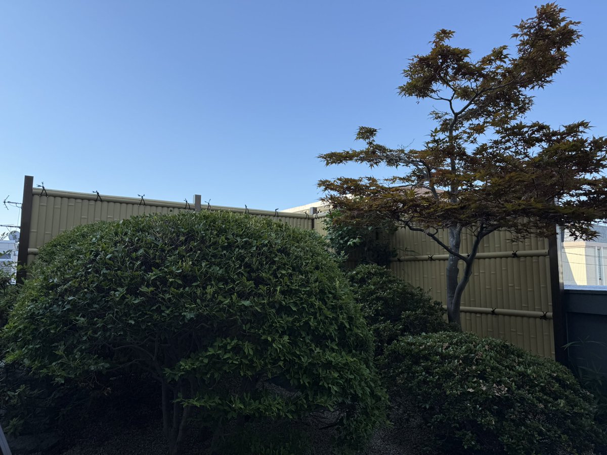 kato_sekiyuxx's tweet image. おはようございます☀
現在 30°
最高気温 36°
7月最後の週末です🗓️
月日が過ぎるのはあっという間でもう数日で8月ですね😳💦
猛暑日が続きますが体調管理に気をつけて過ごしましょう!
本日も宜しくお願い申し上げます😆
#企業公式が朝の挨拶を言い合う #企業公式フォロー祭り #給油をもっと楽しく…