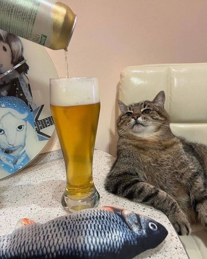 AmericalGun's tweet image. It’s Friday Boys!