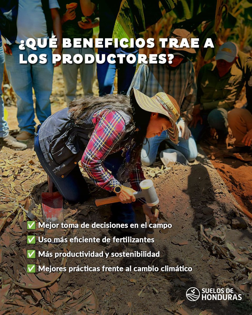 dictasag's tweet image. 🌱 ¡Conocer el suelo es transformar el futuro del campo!

Desde SAG-DICTA y junto a @BioversityCIAT desarrollamos #SuelosDeHonduras: un proyecto que digitaliza la fertilidad del suelo para decisiones agrícolas más precisas, sostenibles y rentables. 🧪🌍