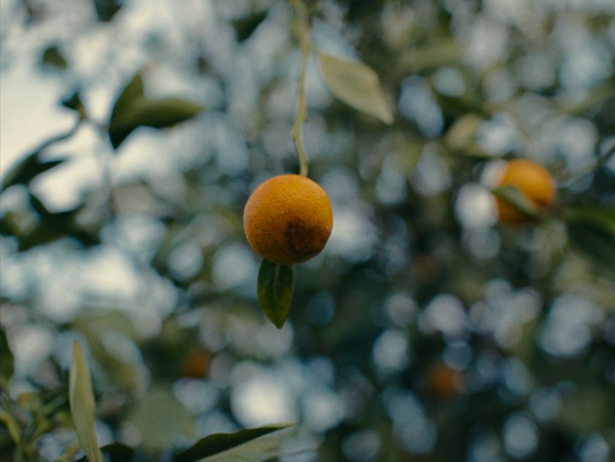 screenscaps's tweet image. nickel boys (2024) dir. ramell ross