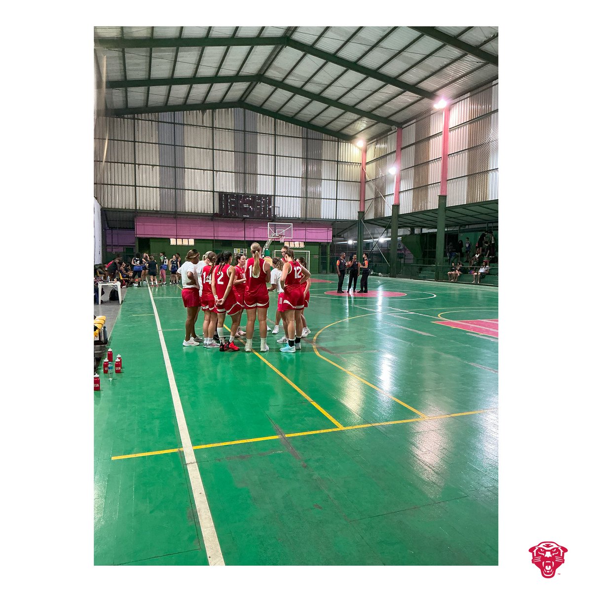 DULadyPanthers's tweet image. International Lady Panthers! 🇧🇷

#OneDrury