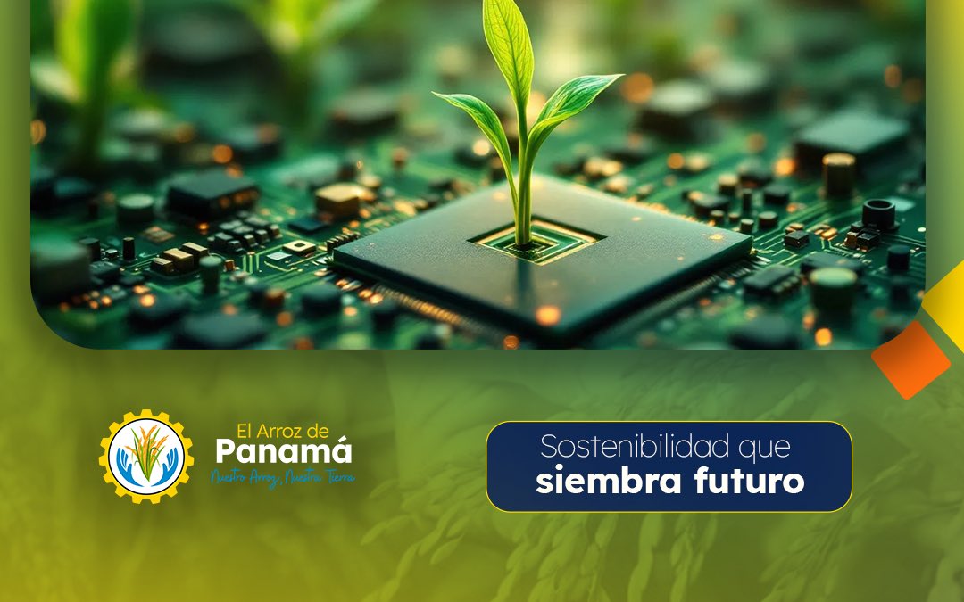 🌾🔬 En ANALMO apostamos por la innovación y la sostenibilidad para modernizar el sector molinero. Tecnología, compromiso y futuro verde para Panamá.

🌱 #InnovaciónMolinera #SostenibilidadAgroindustrial #MolineroConFuturo