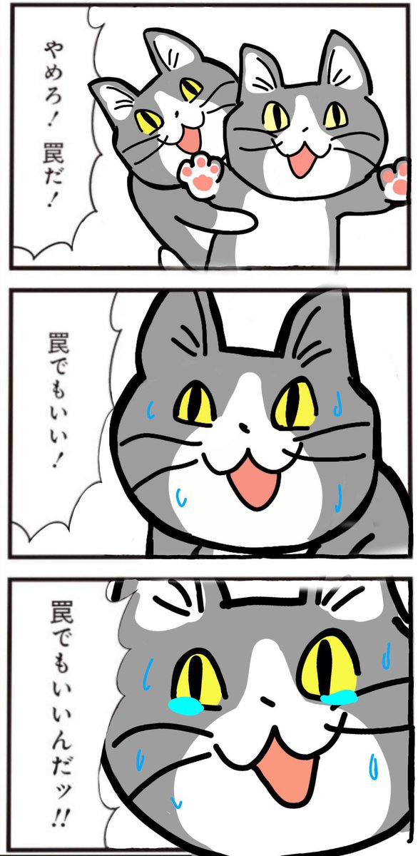 genbaneko_bot's tweet image. 今日も一日