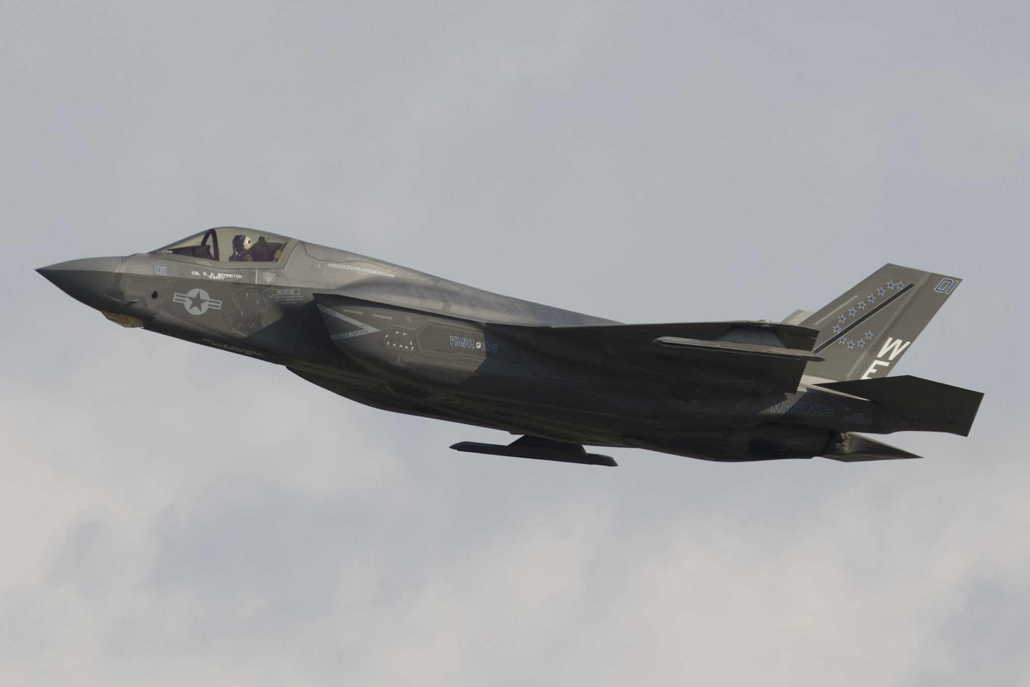 米海軍 パシュート語など ブラッドチット 1940年代 ARMY AIR FORCE TYPE B-15 フライトジャケット