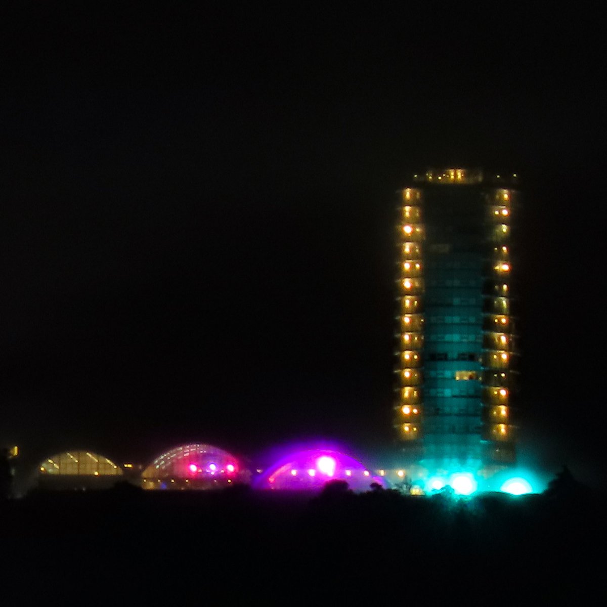 Isidro Nando Pestana tweet media