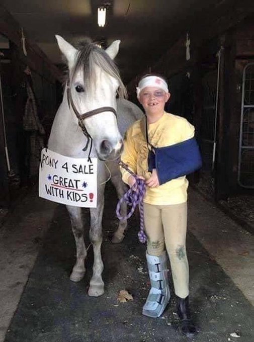 JesusLovesALLx's tweet image. Pony for sale.  Great with kids.

Have a great night. 😂