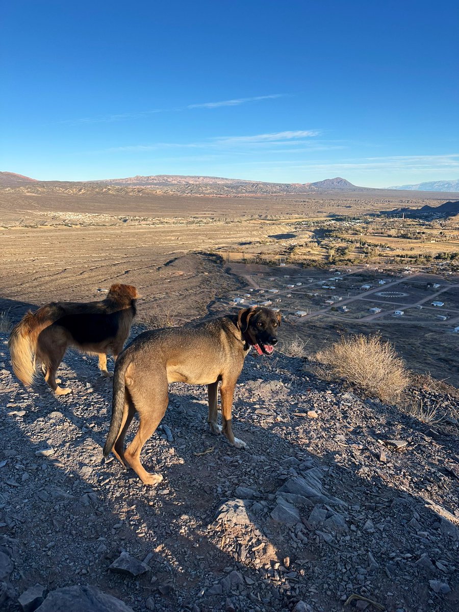 gui10road's tweet image. Trekking al Cerro de la Cruz con mi equipo que amo con todo mi corazón
📍Cachi, Salta
