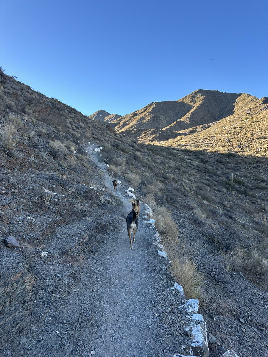 gui10road's tweet image. Trekking al Cerro de la Cruz con mi equipo que amo con todo mi corazón
📍Cachi, Salta