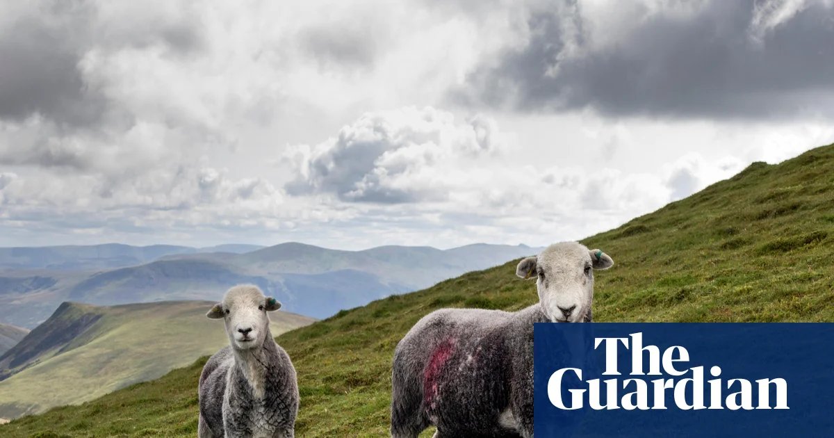 CllrBSilvester's tweet image. "English farms could be taken out of food production to boost nature, says Labour Minister.
Plans announced by Environment Secretary mean many upland farmers may be incentivised to STOP farming."
This is total madness.
UK imports 40% of our food.
We should be encouraging home…