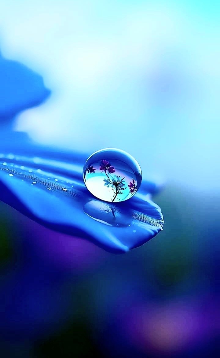 Anika_Jesus's tweet image. "Somos feitos de tempo e isso significa somos passagem, movimento sem trégua, finitude".
Desconheço autoria.
