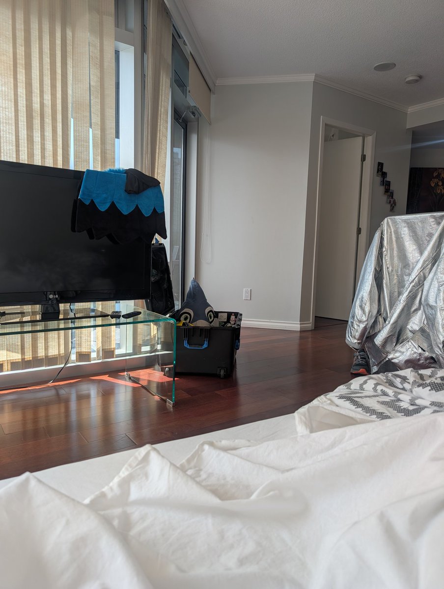 Squawk_the_Jay's tweet image. He watches.