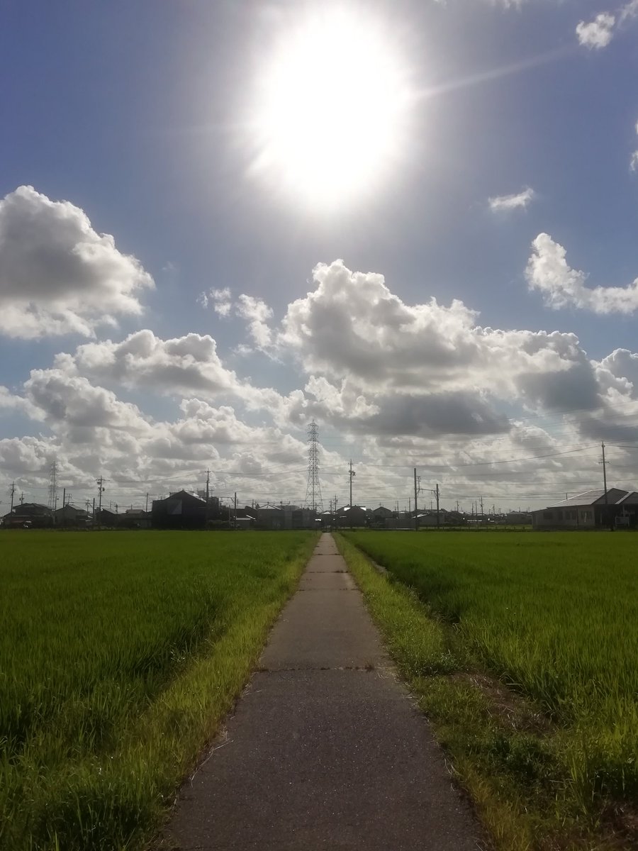 pomeragion's tweet image. おはようございます
今朝の天気は晴れ🌤️
夏休みといえばラジオ体操
近所の公民館でちびっこたちがわちゃわちゃやってます✨
引きこもってたツクヨミさんはアマテラス姉さんに言われて嫌々参加
今日も楽しくお過ごしを😌