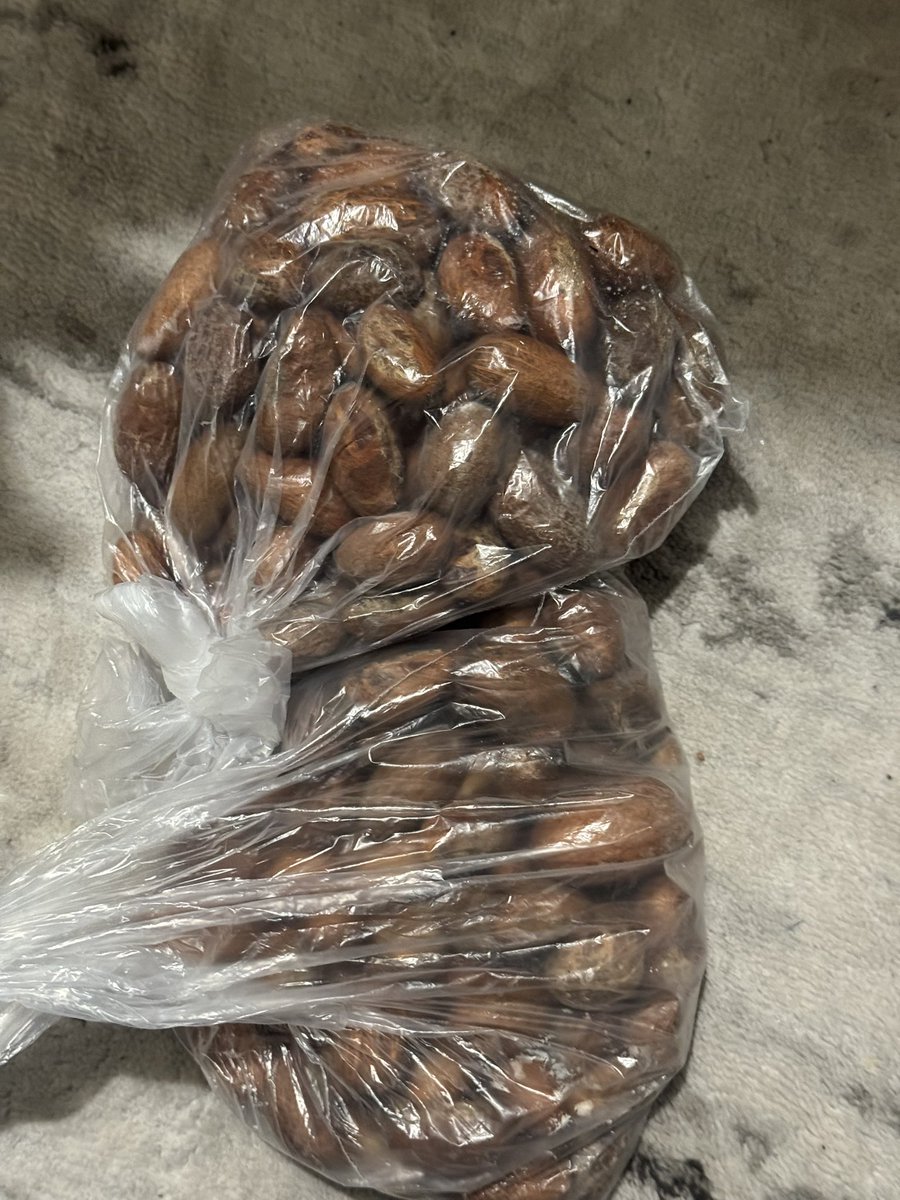 gueye_zamal's tweet image. Diote na petit cola bi 2 kilos @Jaah221