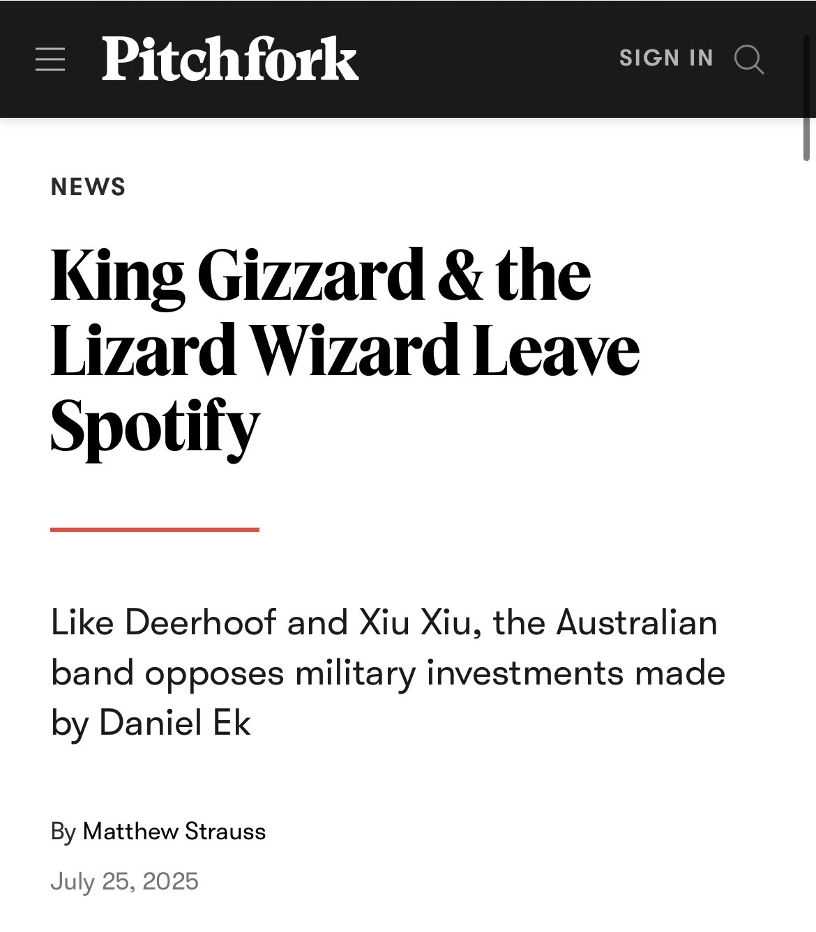 King Gizzard at Festival