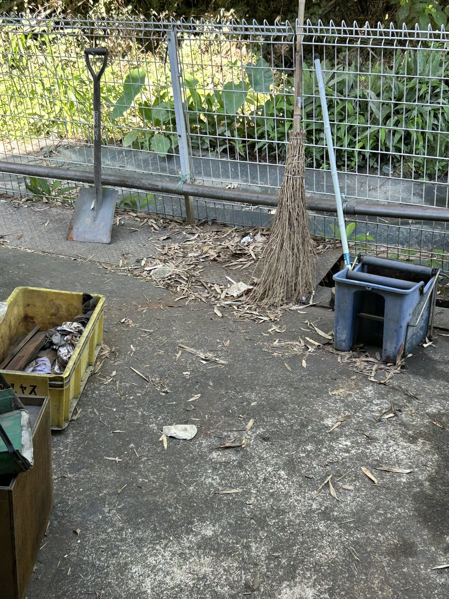 taechan04's tweet image. おはようございます😊今日も暑そうですね🍉🧊
仕事しながらの片付けなので中々前に進みませんが😅少しずつ前進します🌱🐸います。わかるかな😊