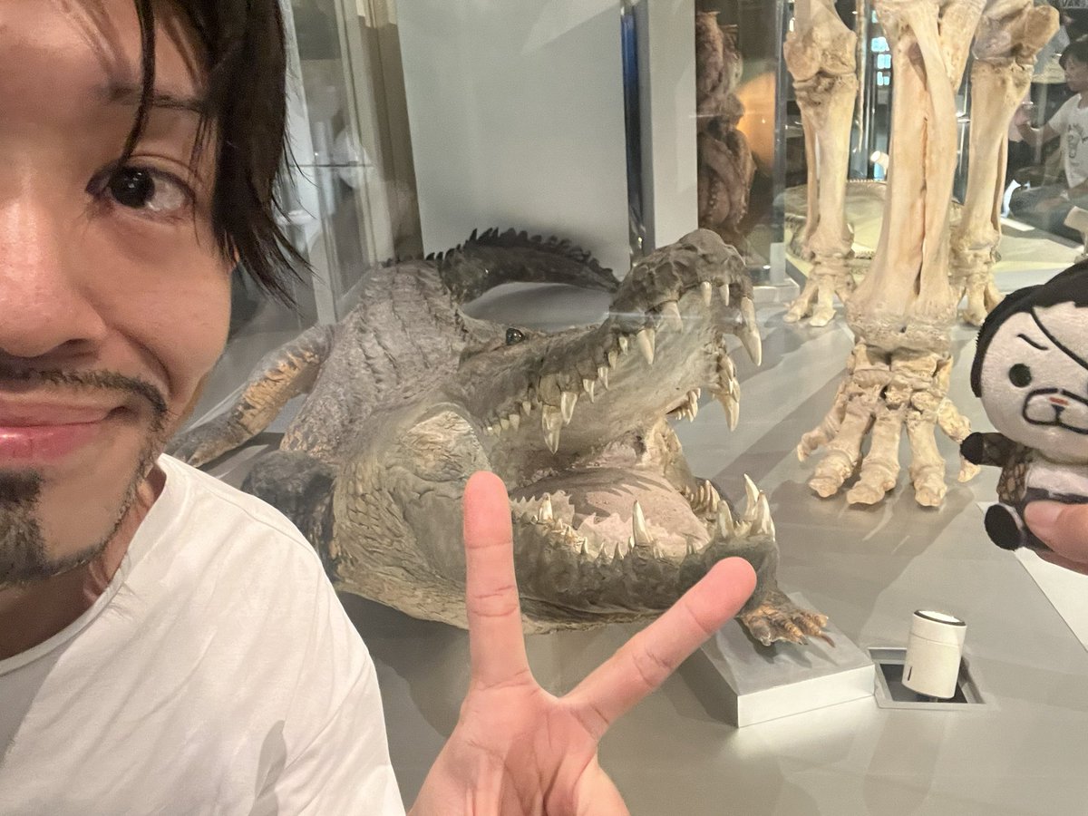 Goro_syurepip's tweet image. 今日はSEGASTORETOKYO行ってくるぞ‼︎🙌