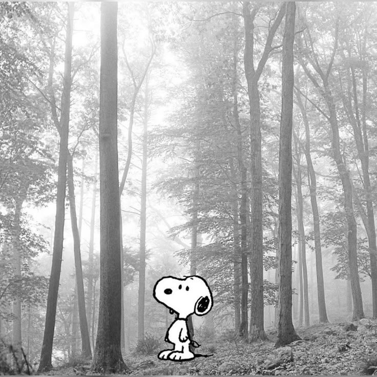 solongbeno's tweet image. 
