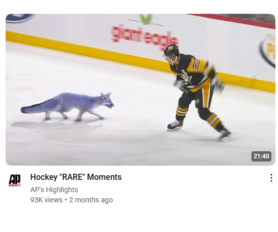 OilersRebound's tweet image. Crosby defenders never bring up when he killed this wolf mid game
