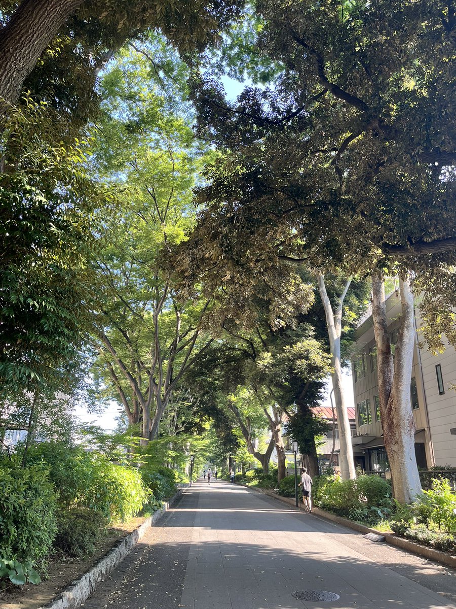 フミツクモルマ tweet media