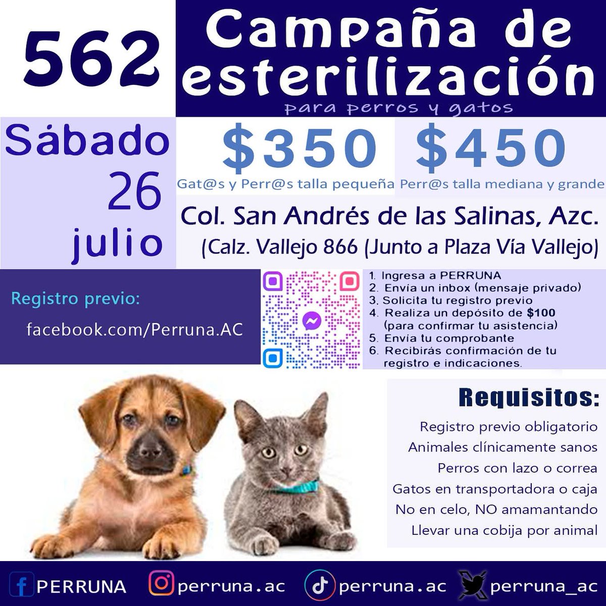 ¡Atención #Azcapotzalco!

Mañana 26 de julio hay campaña de esterilización de bajo costo. Para registrarse es necesario enviar un DM y realizar un depósito inicial. 

Toda la info 👇🏻
