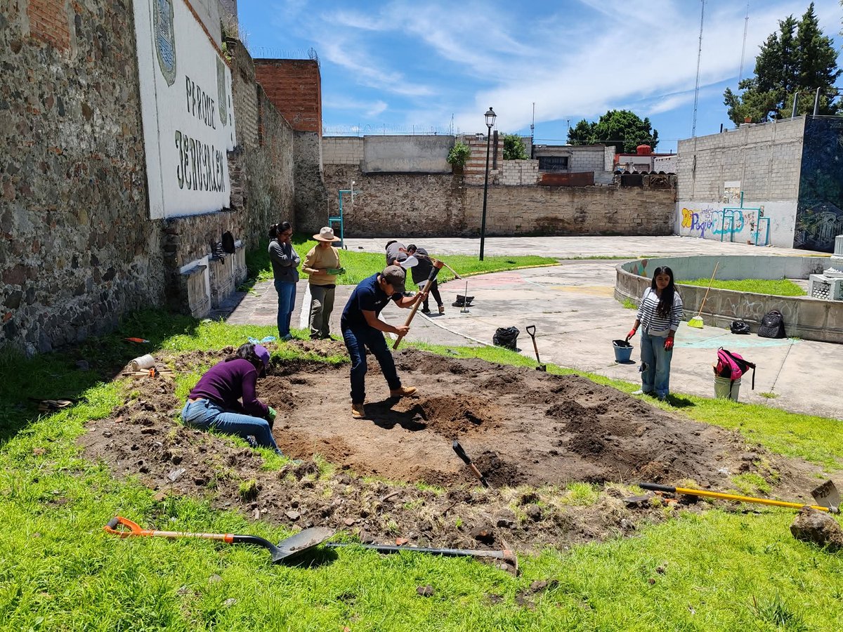 arboles_puebla's tweet photo. Jornada de limpieza y excavación de cepas para la plantación del #OlivoPorElPuebloPalestino en el #ParqueJerusalem, #BarriodeAnalco.
🌳🇵🇸🇵🇸🇵🇸
Con @CasaAnalco, Mujeres Construyendo Barrio y estudiantes de Arquitectura de la BUAP.
#EspacioPúblico #palestina #PalestinaLibre https://t.co/yjHHtIt2Qs