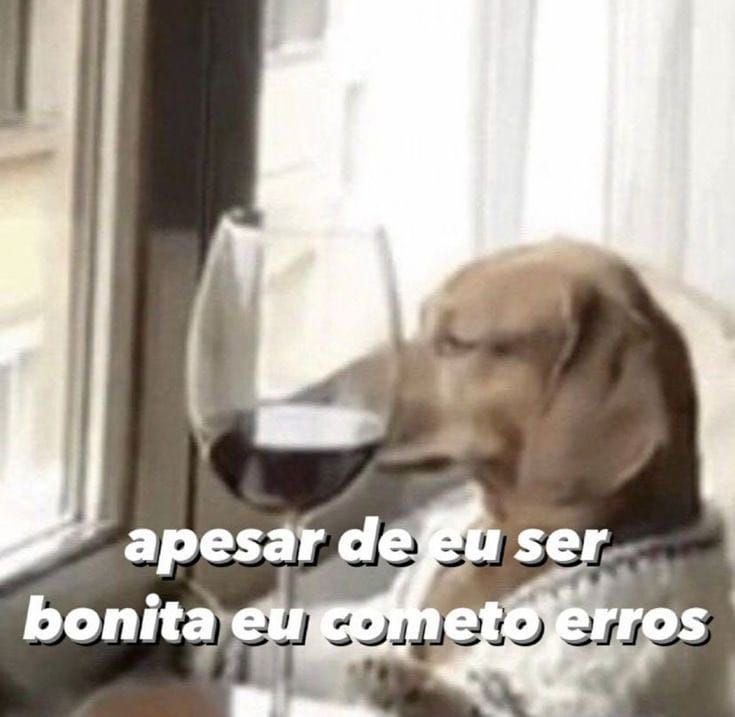 paginalixo1's tweet image. 