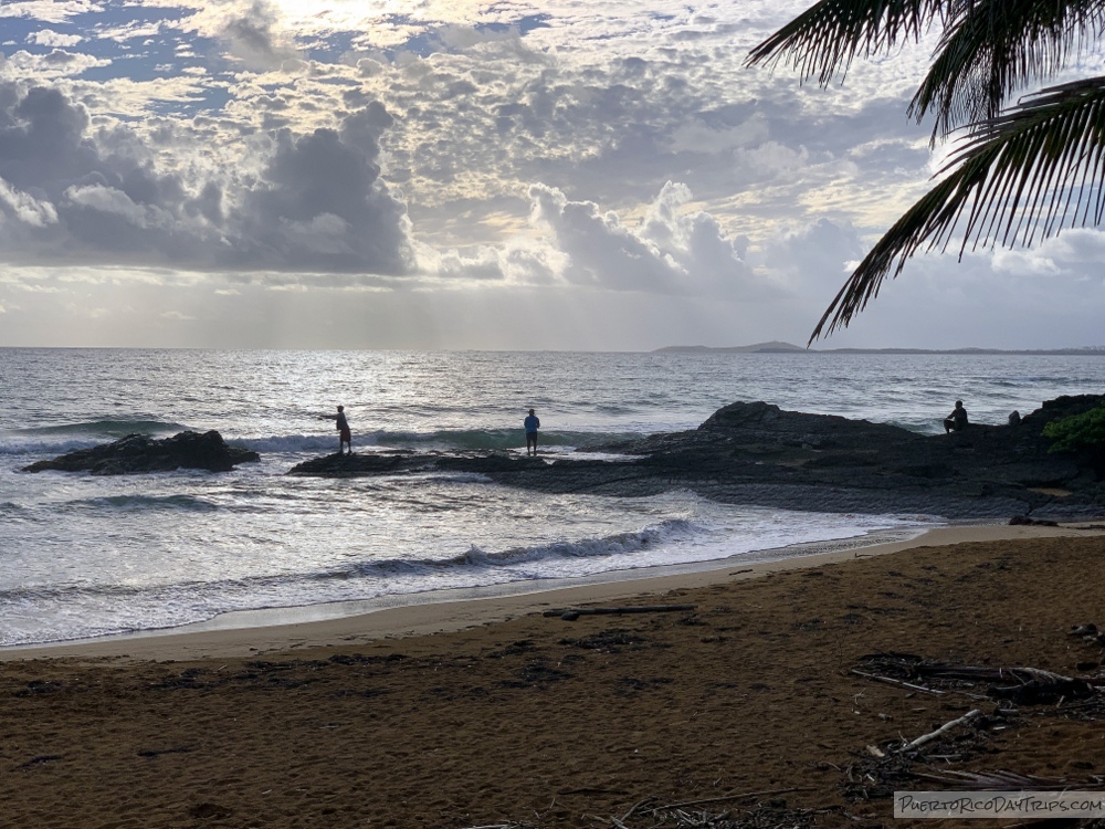PRDayTrips's tweet image. Buenas Noches #PuertoRico - Early Morning Fishermen (from 2020) #estaesmiisla