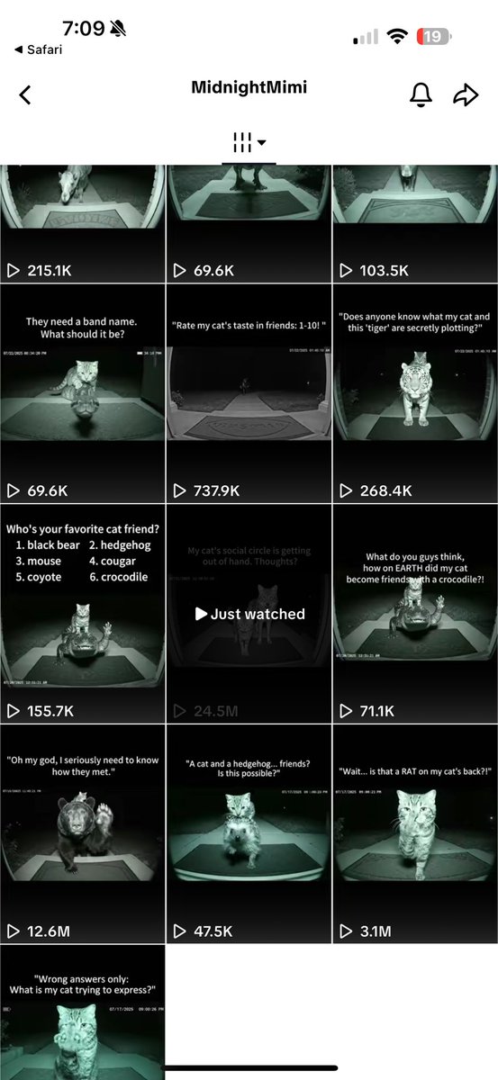 Digital__Liquid's tweet image. Updated Metrics on the $MIMI tiktok
now 25.6k followers - 4.6m likes
The most viral video last night had 16.9M views and now has 24.5M views.
Kitty go brrrrr