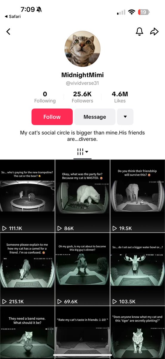 Digital__Liquid's tweet image. Updated Metrics on the $MIMI tiktok
now 25.6k followers - 4.6m likes
The most viral video last night had 16.9M views and now has 24.5M views.
Kitty go brrrrr