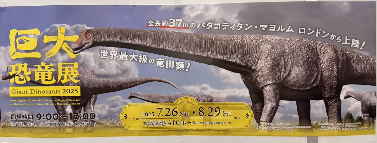 giantdinos_ex's tweet image. 【🦕大阪展情報🦖】
グッズコーナーで5000円(税込)以上をお買い上げの方には、
B3ワイドサイズのポスターをプレゼント🎁
数に限りがありますので無くなり次第、終了となります🙇
ご来場の記念にグッズコーナーもゆっくりご覧ください☺️
#巨大恐竜展2025
#恐竜 #大阪南港ATCホール