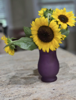 ker95TX's tweet image. Yes, yes, his wife loves sunflowers!