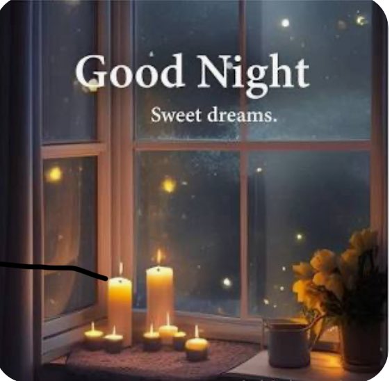 Night, everyone!💙🩷🌸🌺🌷
