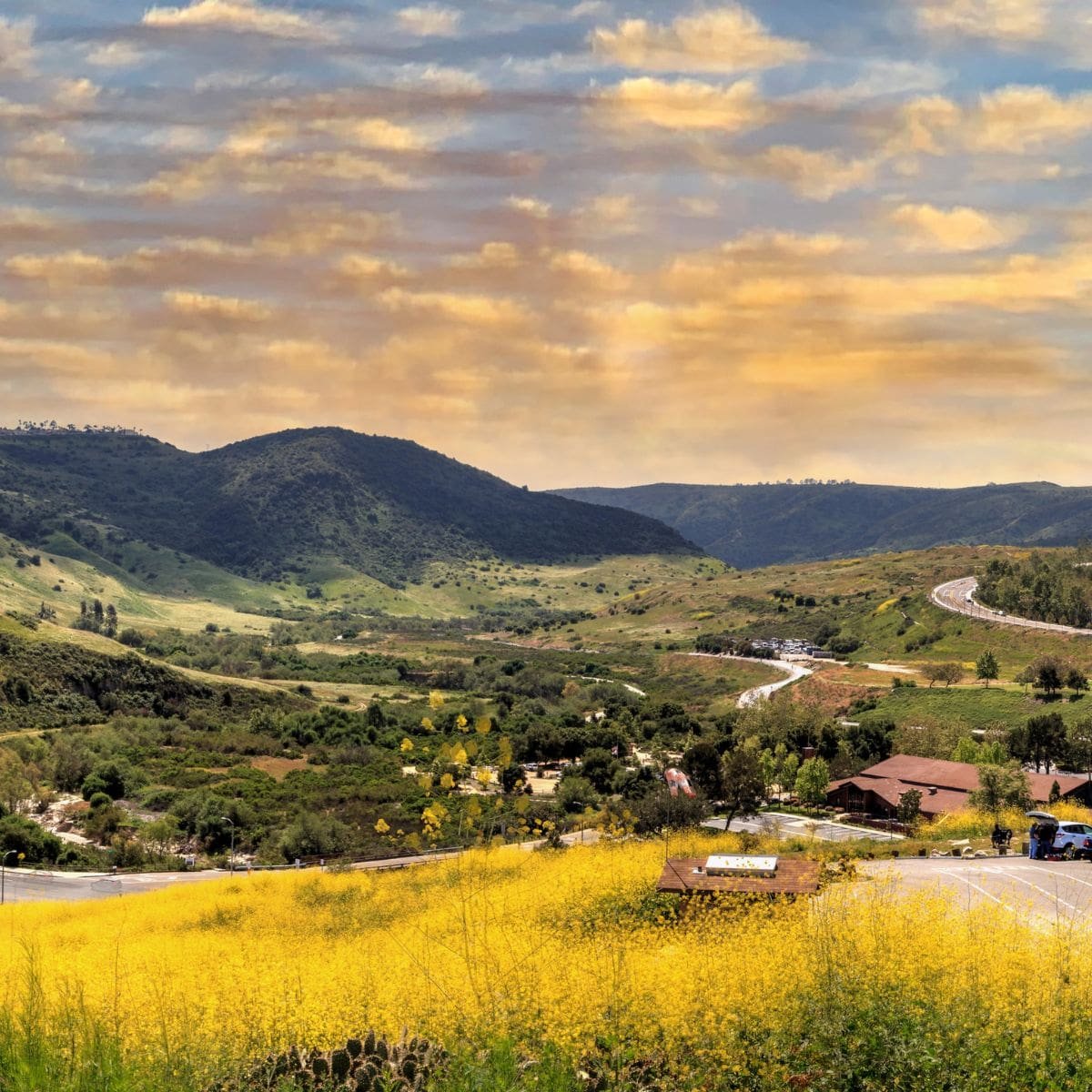 cerulean626_'s tweet photo. Aliso Viejo, CA (56% White, pop. 52K, Income: $137K, 57% Bachelor's)

🔵 2024: Harris +8.6
🔵 2020: Biden +15.2
🔵 2016: Clinton +10.8
🔴 2012: Romney +2.8
🔵 2008: Obama +7.1

🔵 #CASEN: Schiff +3.9
🔵 #CA40: Kerr +2.5
🔵 #SD37: Newman +0.32
🔴 #AD72: Dixon +6.3
🔵 Prop 3: +24.5 https://t.co/XrGHr0if5S