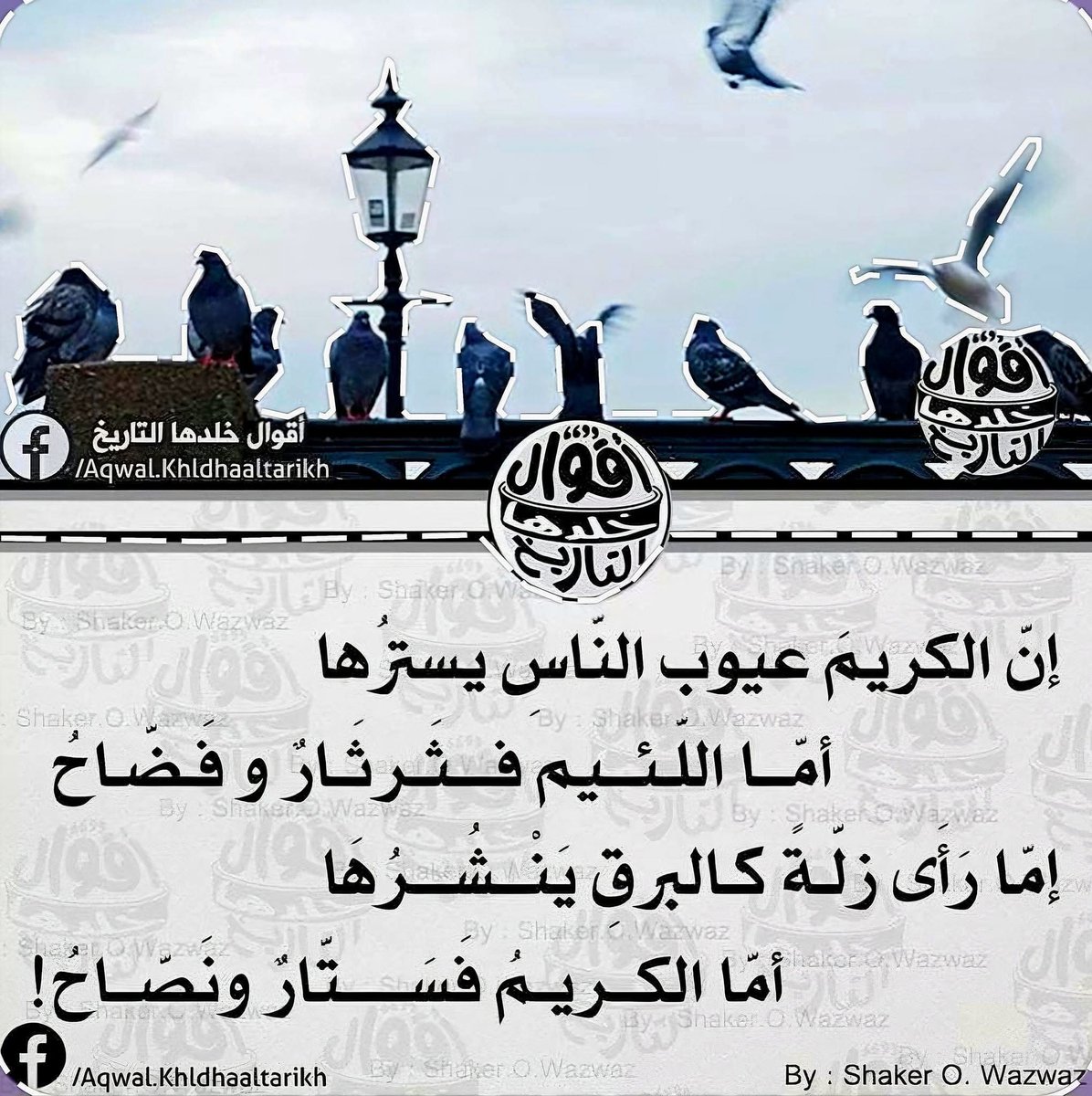 ahmedhifny6's tweet image. 