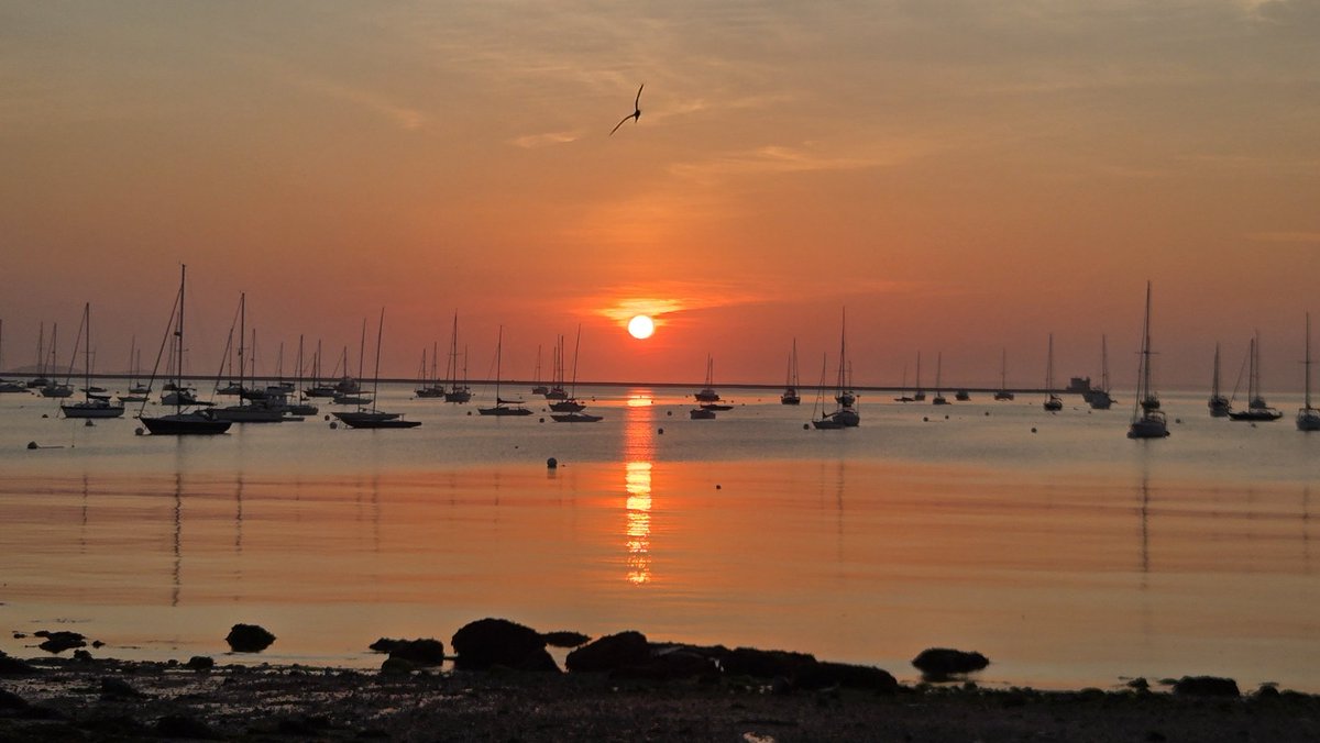 BenCoker3's tweet image. Maine sunrise. Awesome trip. What a beautiful state.