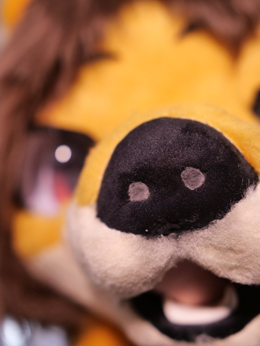 A little too close there buddy x3

#FursuitFriday #FursuitEveryday #furryartist #furryfandom