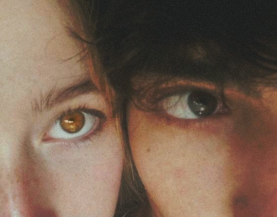 сейчас вылетит птичка!