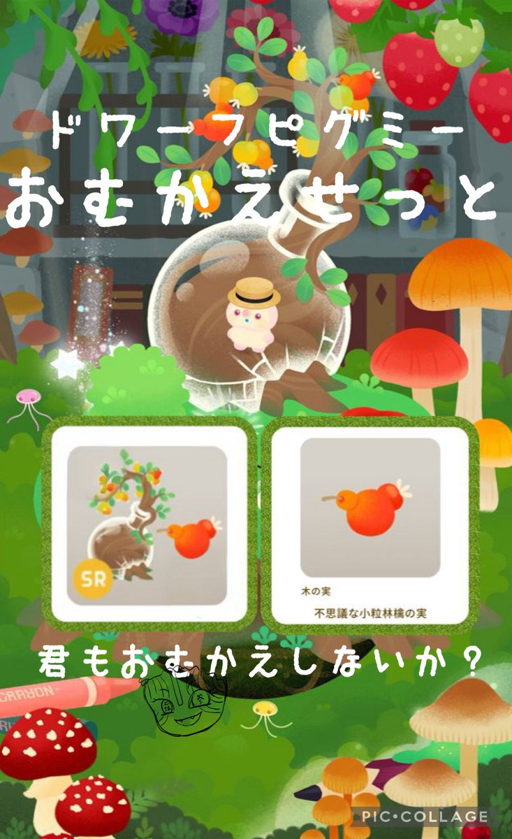 mg_qfl's tweet photo. 「君もドワーフピグミーお迎えしないか？」 ｵﾆ(ง ˙˘˙ )วｵﾆ 
　
参加　フォロー&amp;RP 
            受け取りポスト出来る方　
〆切　気まぐれ　

よもやよもやに続き笑　
可愛い子お迎えセット！木の実は14個です🌰　暑い日が続きますが、皆様気をつけてお過ごしくださいね！ https://t.co/g7mvtMT90A