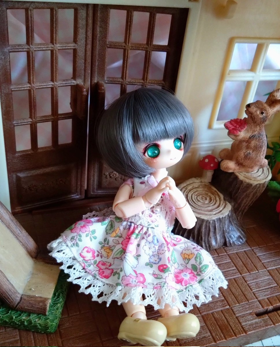 sati_xx's tweet photo. 2mm縫い間違えたドレスで朝日を拝む図

#オビツ11 https://t.co/ReZPVUo5db