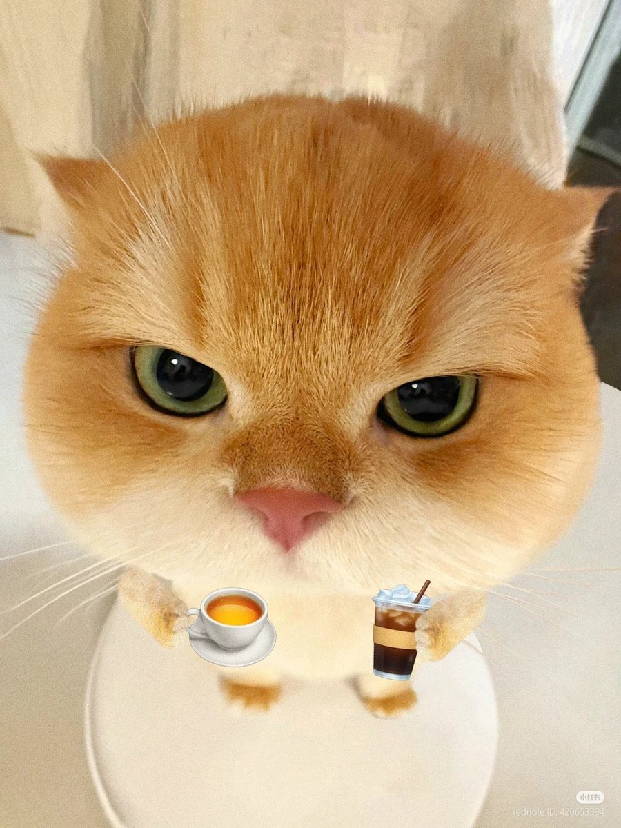 bayaraa410's tweet image. Өглөөний мэнд