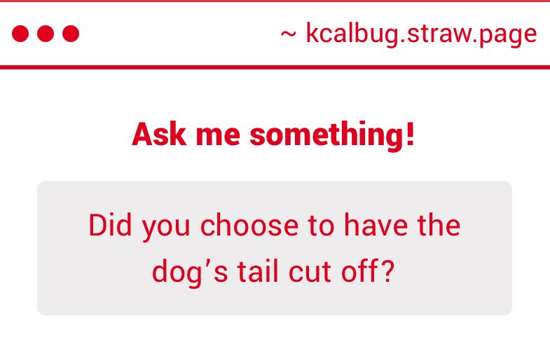 kcalbug's tweet image. no guys 😭 docking is performed within the first couple days of life. it is extremely rare to find an undocked doberman. this puppy is also coming from someone who owns working dobermans on a farm