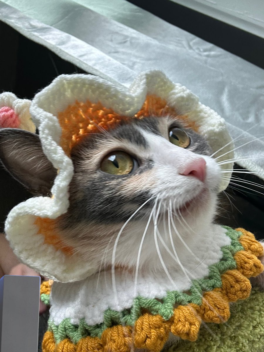 So angelic! 😇😇😇