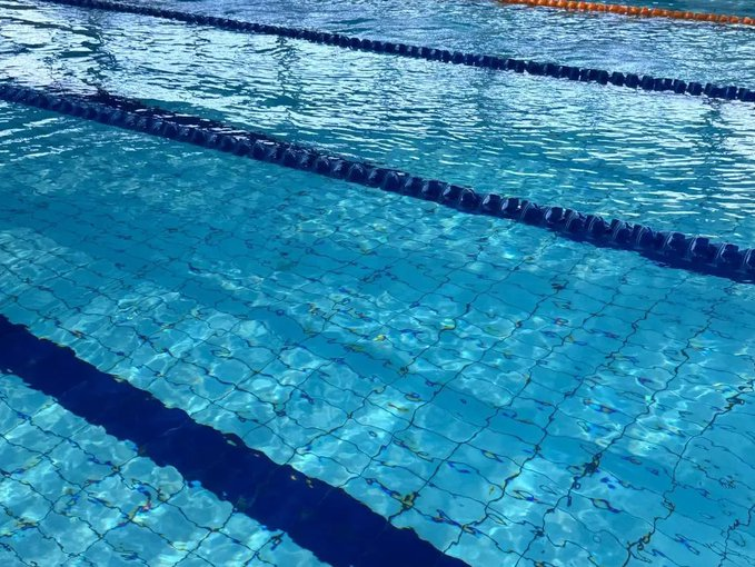The sun warmed our skin, every splash in the cool water brought a glimmer of joy. We would dive in at the beginning of the day, the air would fill with summer emotions. That's when sunny memories would form. ☀️🏊‍♂️