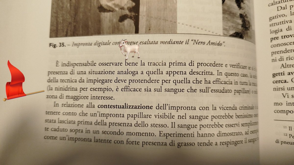 susyna1971's tweet image. Infatti ha osservato bene, prima di stroiare la qualunque, verbalizzando, la muffa …ma io dico…stava tranquillo a casetta sua, chi gliel’ha fatto fare ?
#Garlasco
@LaPetitNuage