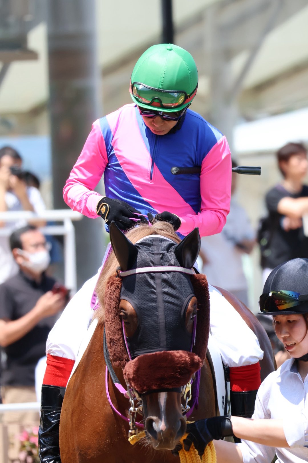 otk ｜🐴 on X: 